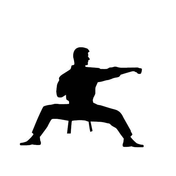 Krav Maga with South Elgin Parks & Rec