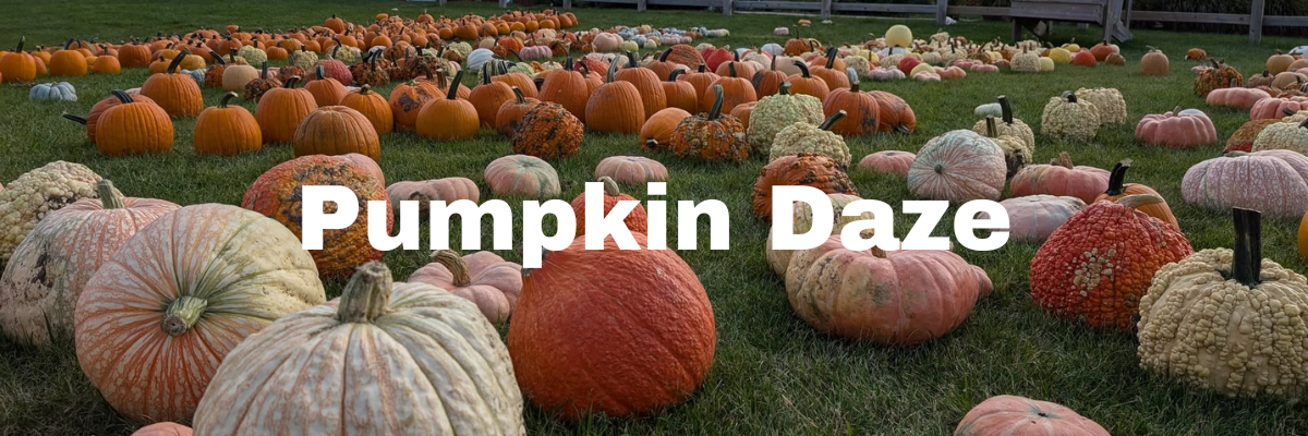 Pumpkin Daze at Abbey Farms