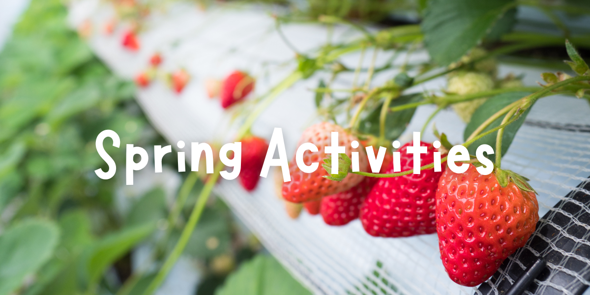 Abbey Farms Spring Activities