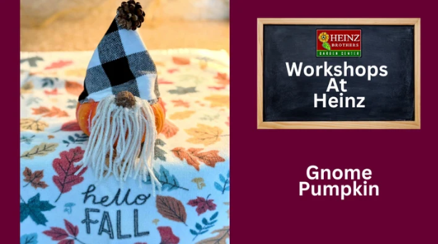 Gnome Pumpkin