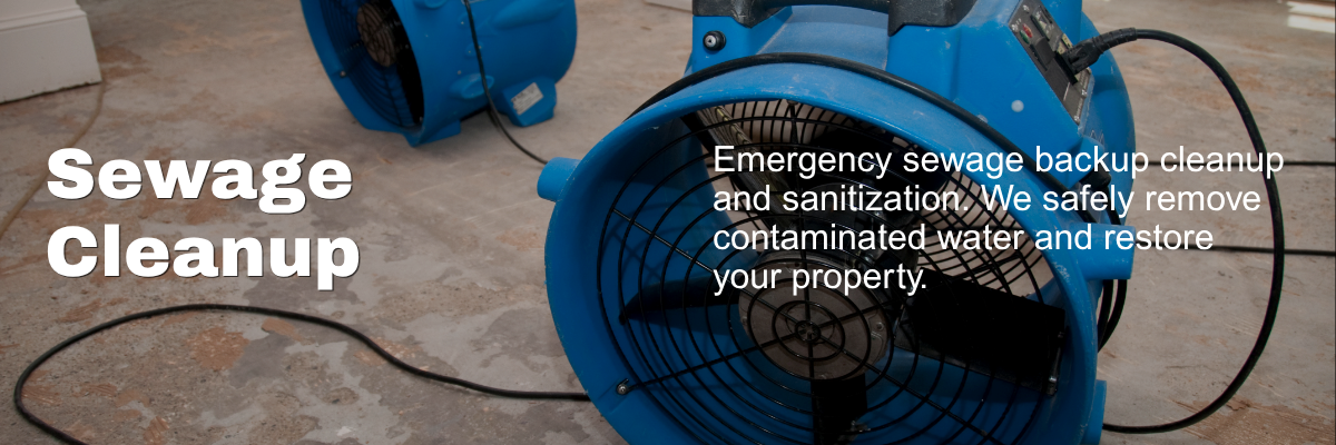 Sewage Cleanup