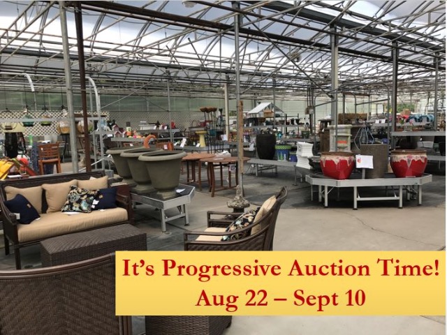 Heinz Brothers Greenhouse Progressive Auction