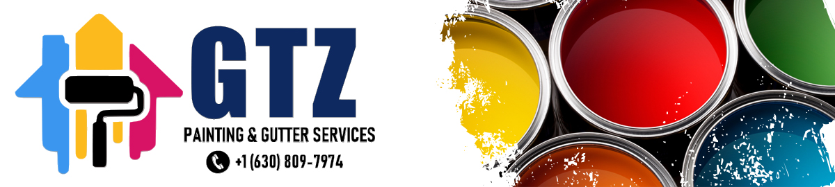 GTZ Painting, Gutter Cleaning, Home Maintenance, Illinois