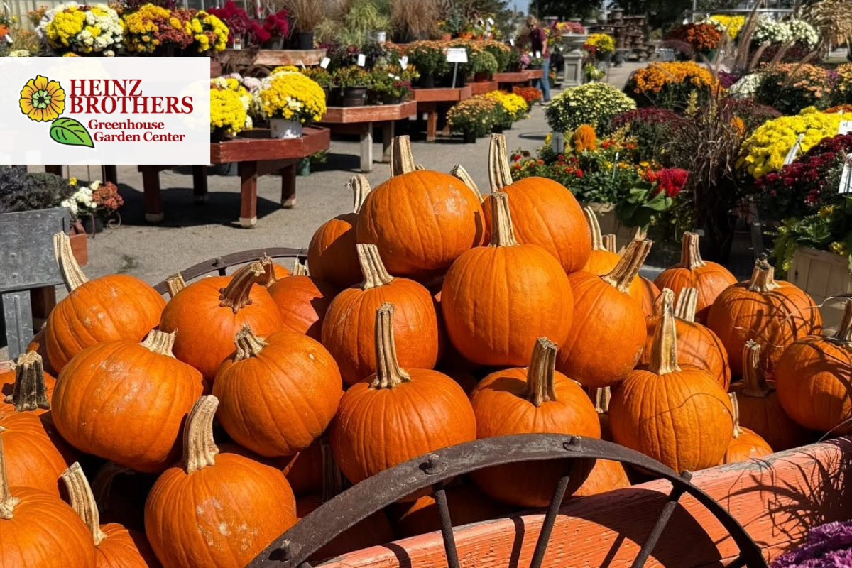 Heinz Bros Garden Center St Charles IL