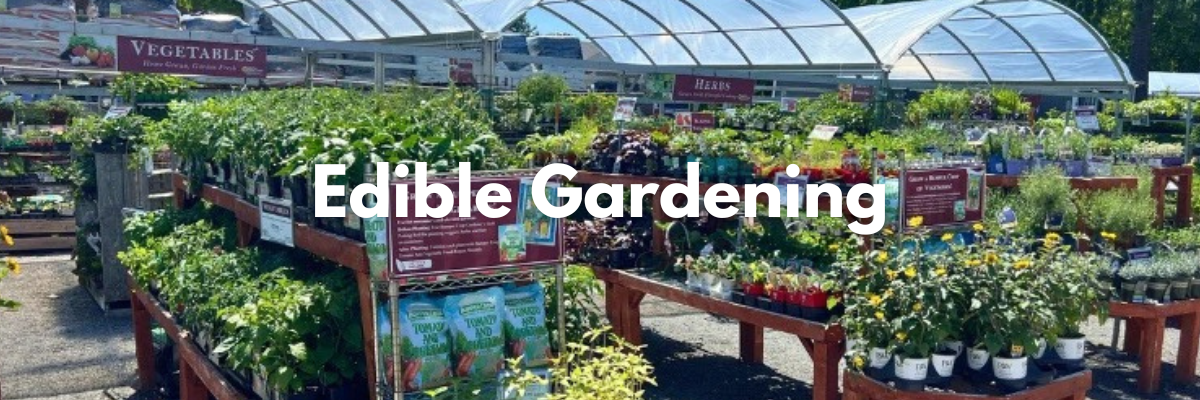 Heinz Bros Edible Gardening