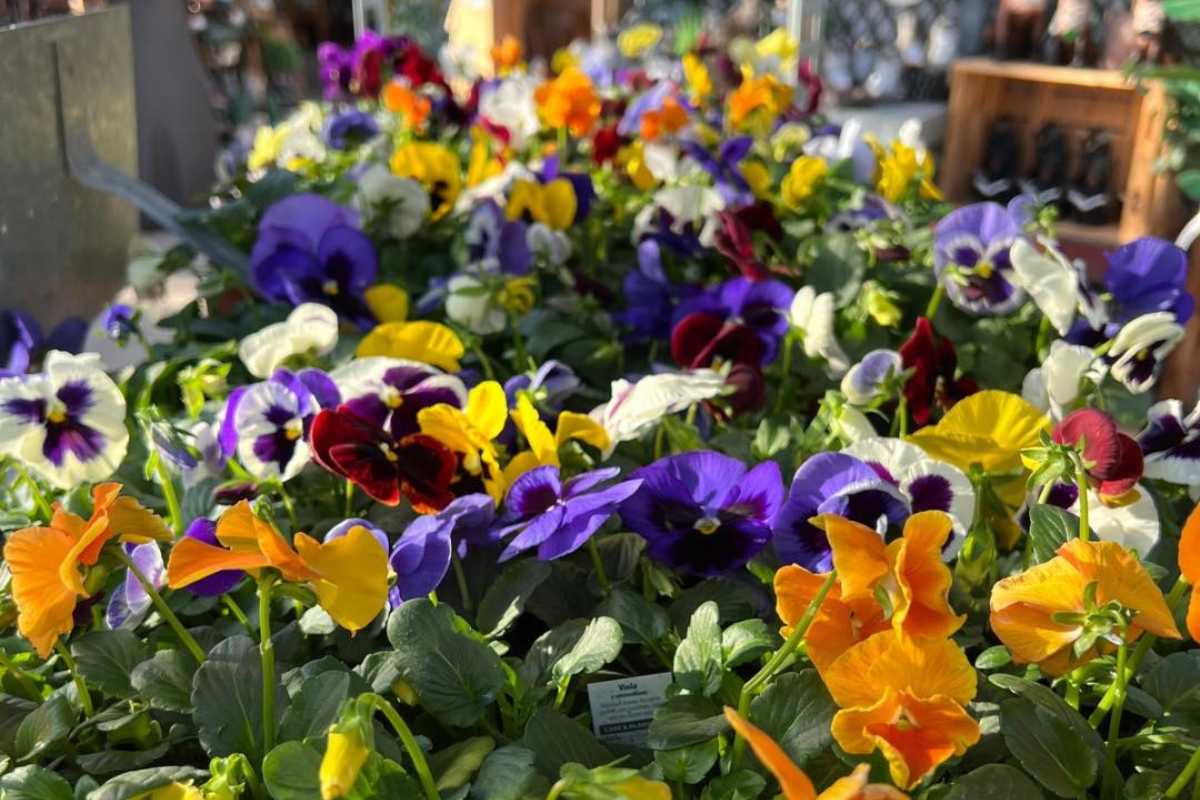 Heinz Bros Garden Center St Charles IL