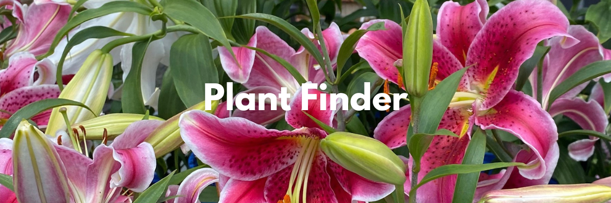 Heinz Bros Plant Finder