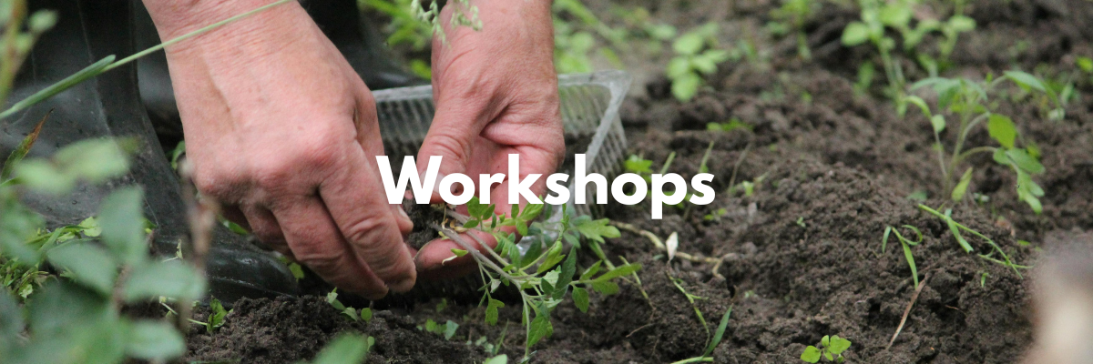 Heinz Bros Workshops