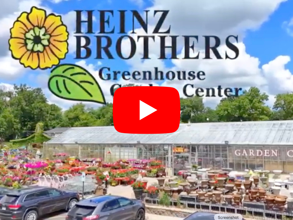 Heinz Bros Video Tour