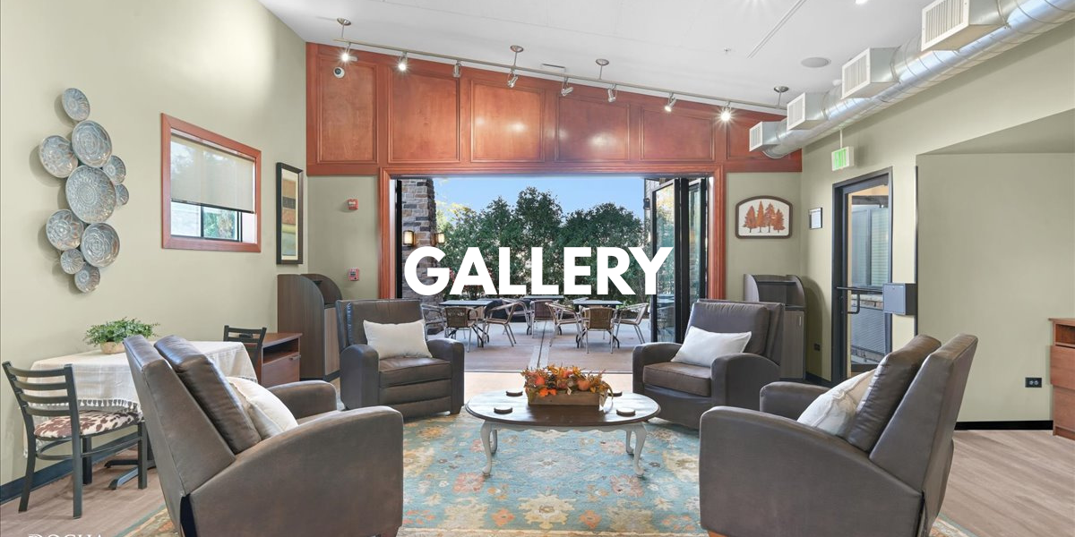 Timber Creek Gallery