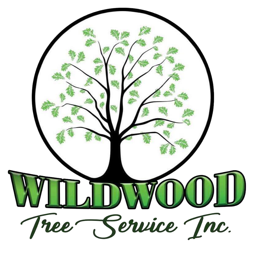 Fox Valley Values - Wildwood Tree Service Coupons Elgin, IL area