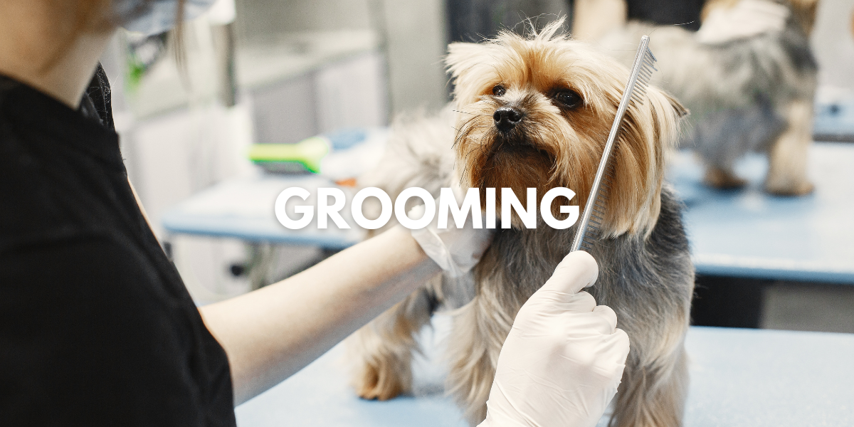 Dog Grooming Services